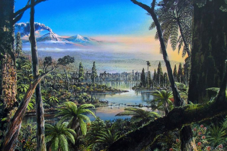 antarctica-rainforest antarctica-rainforest