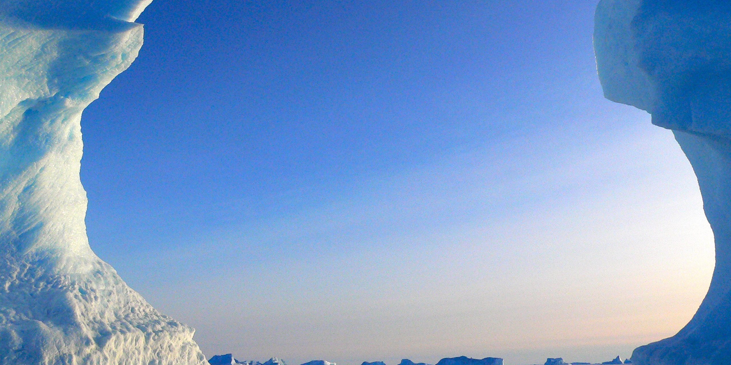 Bizarre Encounters In Antarctica Bizarre Encounters In Antarctica